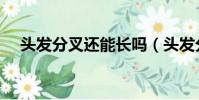 頭發分叉還能長嗎(頭發分叉還會長嗎)