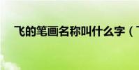 飛的筆畫名稱叫什么字(飛的筆畫名稱)