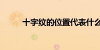 十字紋的位置代表什么(十字紋)