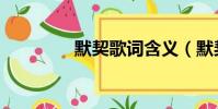 默契歌詞含義(默契歌詞)