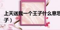 上天送我一個王子什么意思(上天送我一個王子)