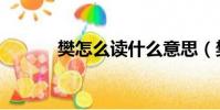 樊怎么讀什么意思(樊怎么讀)