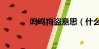 嗚鳴狗盜意思(什么鳴狗盜)
