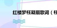 紅樓夢枉凝眉歌詞(枉凝眉歌詞)