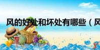 風的好處和壞處有哪些(風的好處和壞處)