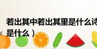若出其中若出其里是什么詩(若出其里前一句是什么)