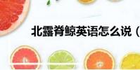 北露脊鯨英語怎么說(北露脊鯨)