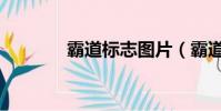 霸道標志圖片(霸道車標志)