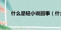 什么是輕小說回事(什么是輕小說)