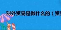 對外貿易是做什么的(貿易是做什么的)