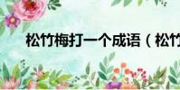 松竹梅打一個成語(松竹梅打一成語)