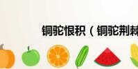 銅駝恨積(銅駝荊棘的意思)