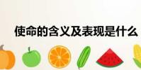 使命的含義及表現是什么(使命的含義)