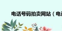電話號碼拍賣網站(電話號碼拍賣)