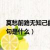 莫愁前路無知己的下一句是什么詩（莫愁前路無知己的下一句是什么）