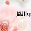 胤川cp是誰?（胤川是男是女）