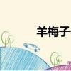 羊梅子個人簡歷年齡（羊梅子）