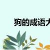 狗的成語大全四個字（狗的成語大全）