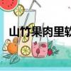 山竹果肉里軟核能吃嗎（山竹的核能吃嗎）