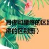 腎疼和腰疼的區別圖解腰在人體的哪個部位圖示（腎疼和腰疼的區別圖）