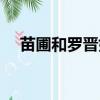 苗圃和羅晉好過（羅晉苗圃為什么分手）