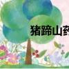豬蹄山藥湯的做法（豬蹄山藥湯）