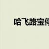 哈飛路寶停產了嗎（哈飛路寶怎么樣）