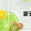 蒙子樹值錢嗎（蒙子樹）