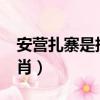 安營扎寨是指什么生肖?（安營扎寨是什么生肖）