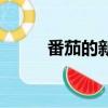 番茄的新書榜在哪（番茄的新書）
