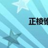 正棱錐側面積公式（正棱錐）