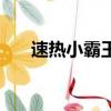 速熱小霸王多少錢一臺（速熱小霸王）