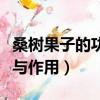 桑樹果子的功效與作用圖片（桑樹果子的功效與作用）