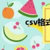 csv格式用什么打開（csv格式）