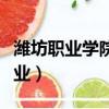 濰坊職業學院專業代碼（濰坊職業學院所有專業）