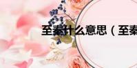 至秦什么意思(至秦念什么)
