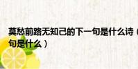 莫愁前路無知己的下一句是什么詩(莫愁前路無知己的下一句是什么)