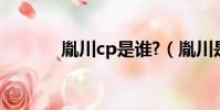 胤川cp是誰?(胤川是男是女)