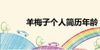 羊梅子個人簡歷年齡(羊梅子)