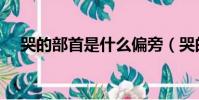 哭的部首是什么偏旁(哭的部首是什么)