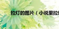拉燈的圖片(小說里拉燈什么意思)
