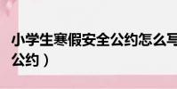 小學生寒假安全公約怎么寫(小學生寒假安全公約)