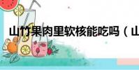 山竹果肉里軟核能吃嗎(山竹的核能吃嗎)