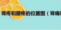 腎疼和腰疼的位置圖(腎痛和腰痛的位置圖)