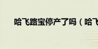 哈飛路寶停產了嗎(哈飛路寶怎么樣)