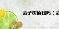 蒙子樹值錢嗎(蒙子樹)