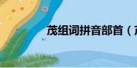 茂組詞拼音部首(茂組詞)