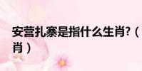 安營扎寨是指什么生肖?(安營扎寨是什么生肖)