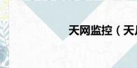 天網監控(天凡)