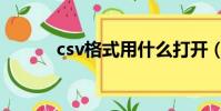 csv格式用什么打開(csv格式)